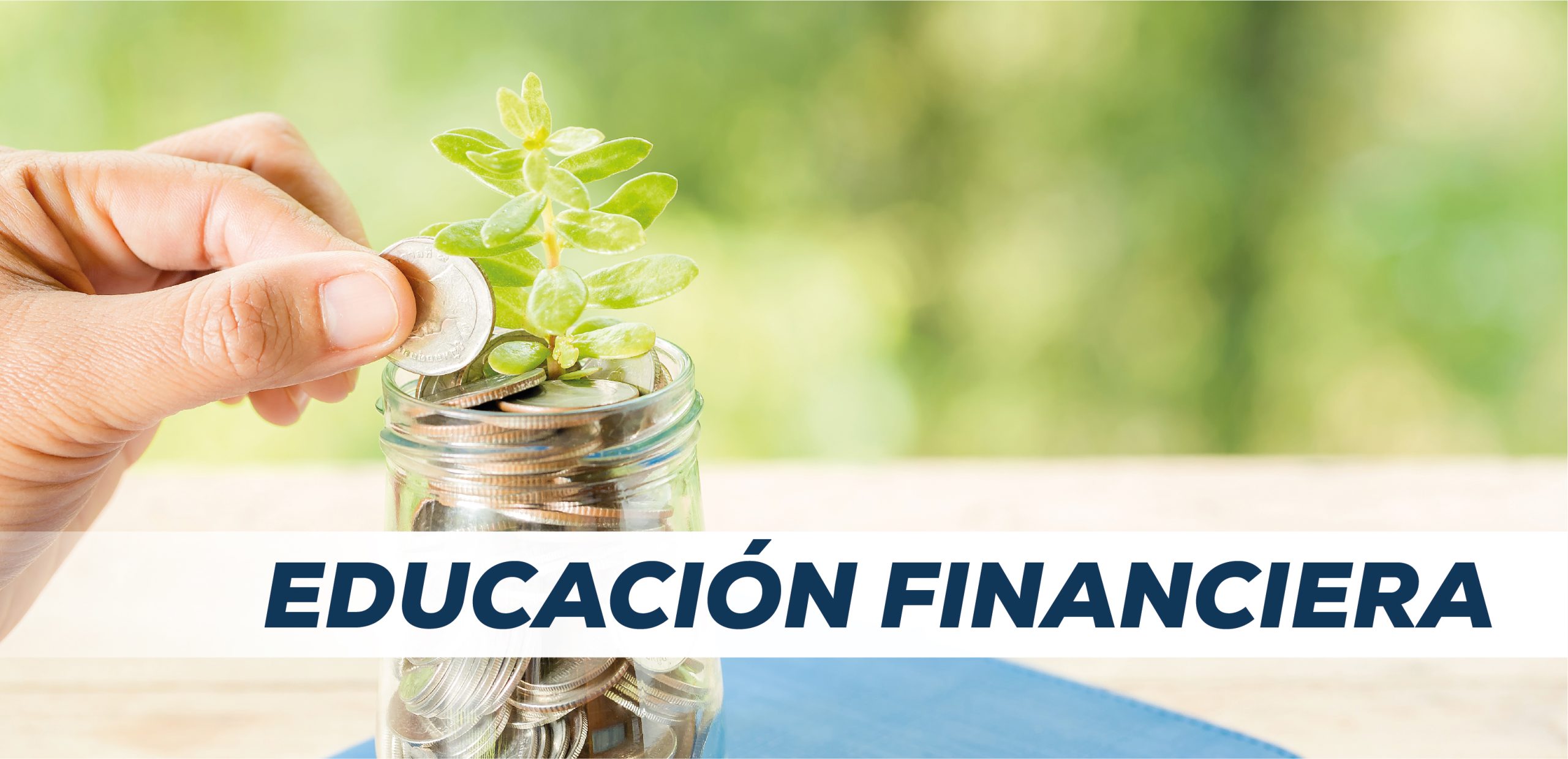 Sección de Educación Financiera